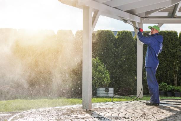 Best Rust Removal  in Sandwich, IL