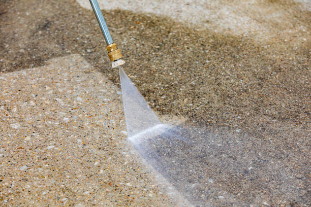 Best Spring Cleaning  in Sandwich, IL