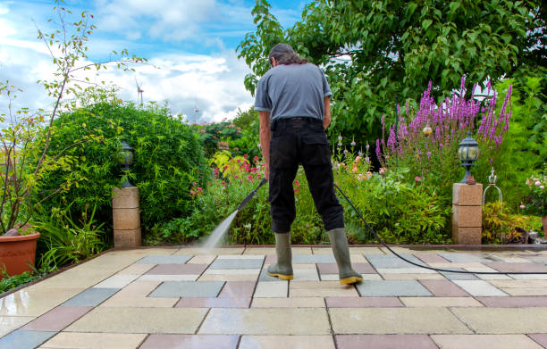 Best Fence Cleaning  in Sandwich, IL