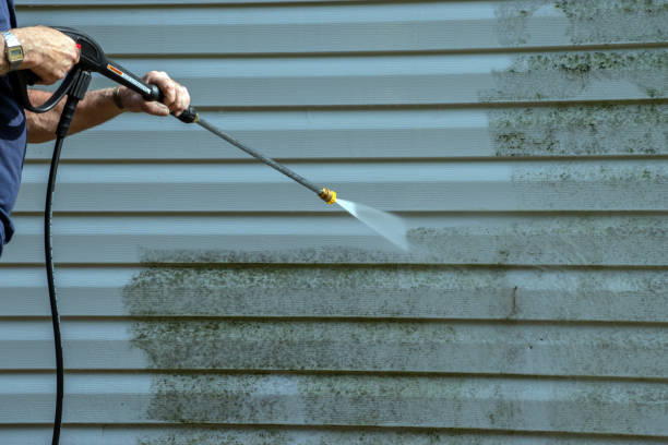 Best Dumpster Area Cleaning  in Sandwich, IL